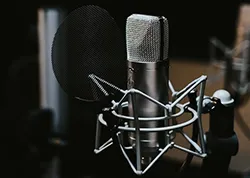 Voice-Over Artist